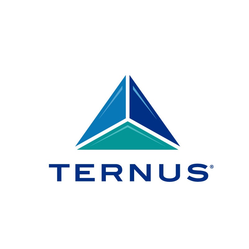 Triangle logo for Ternus